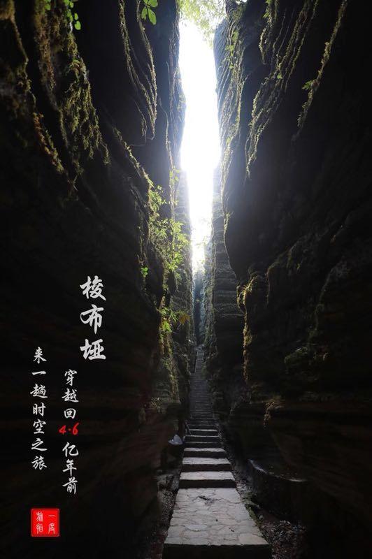 北京烤鸭是起源于北京的吗游戏画面