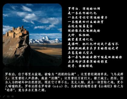 救援男孩与狗