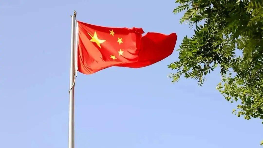 救援袋鼬