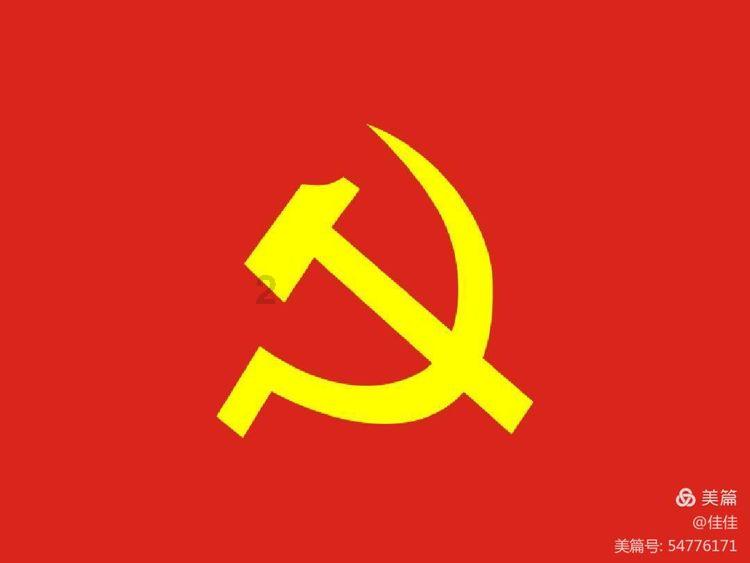 破碎的动物图形2
